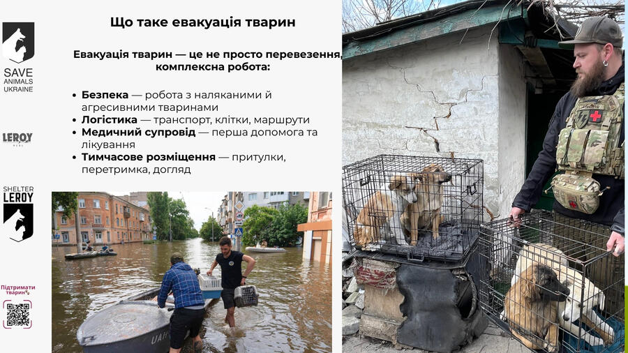 Евакуація тварин